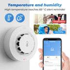 Smoke Sensor Wifi