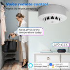 Smoke Sensor Wifi