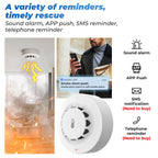 Smoke Sensor Wifi